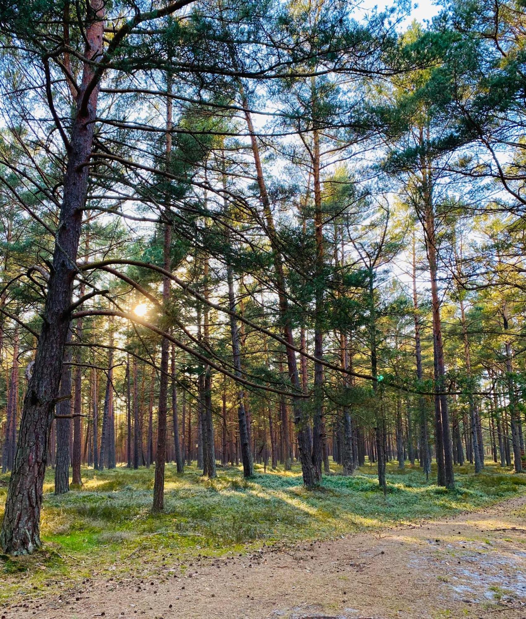 Nadmorska Ostoja Lubiatowo Villa Lubiatowo  Buitenkant foto